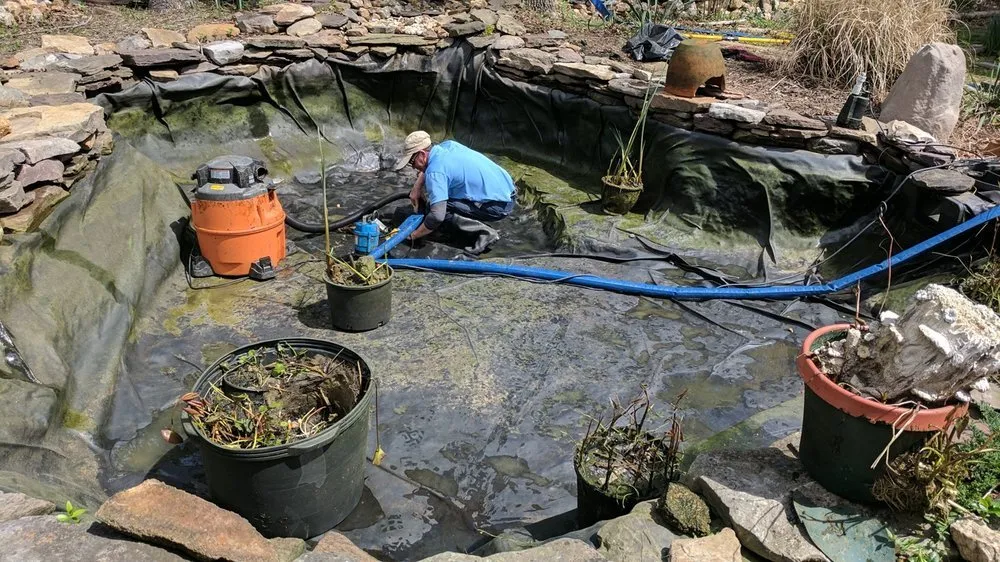 Professional residential landscaping for outdoor upgrades in Ashton-Sandy Spring, MD by ERG Ponds