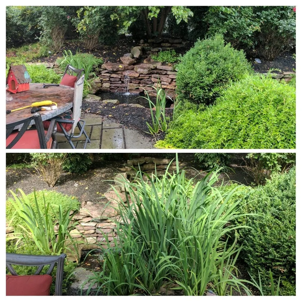 Expert landscape design near you in Ashton-Sandy Spring, MD by ERG Ponds