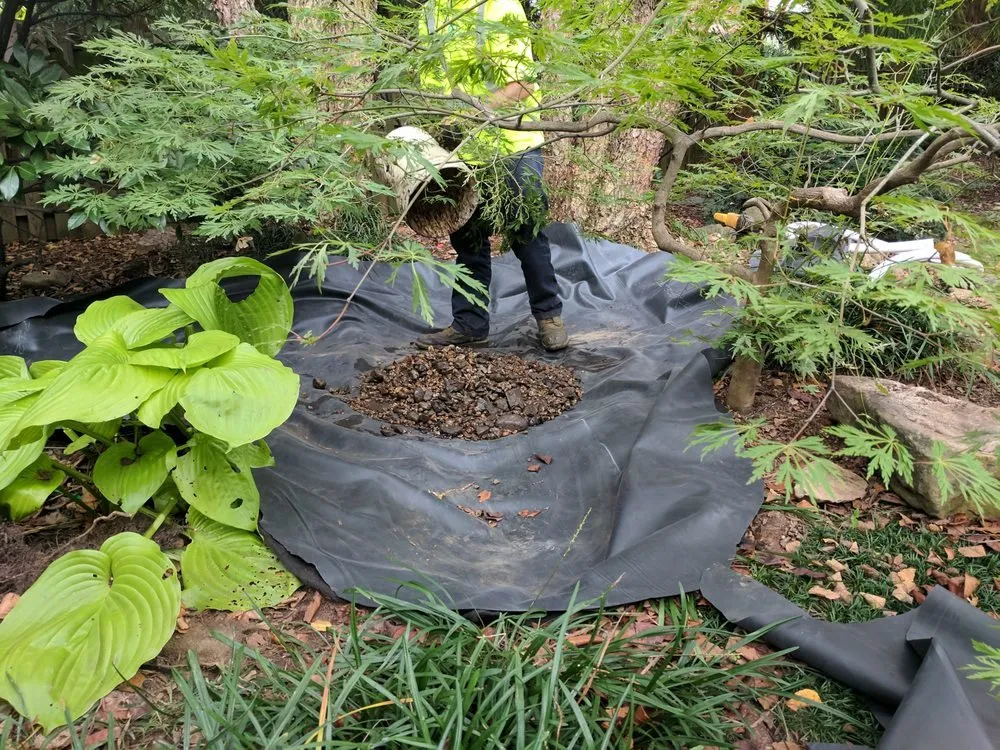 Expert landscaping services for outdoor upgrades across Ashton-Sandy Spring, MD - ERG Ponds