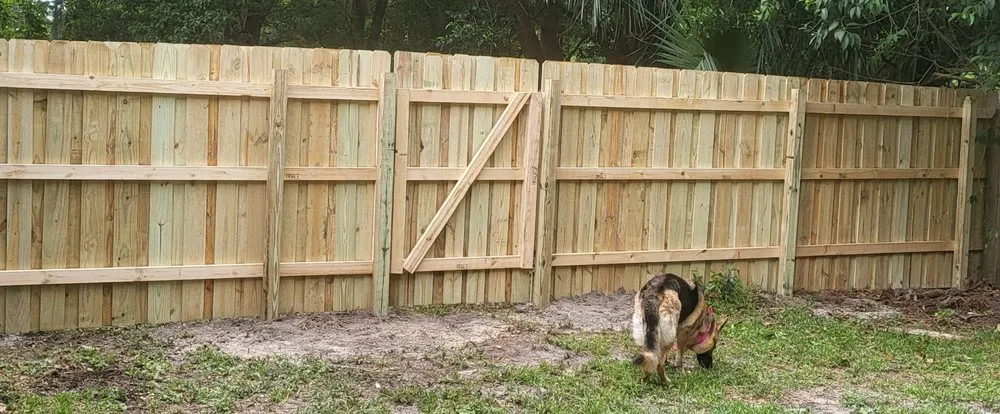 Trusted yard cleanup service experts serving Greenville, SC - Ergeon