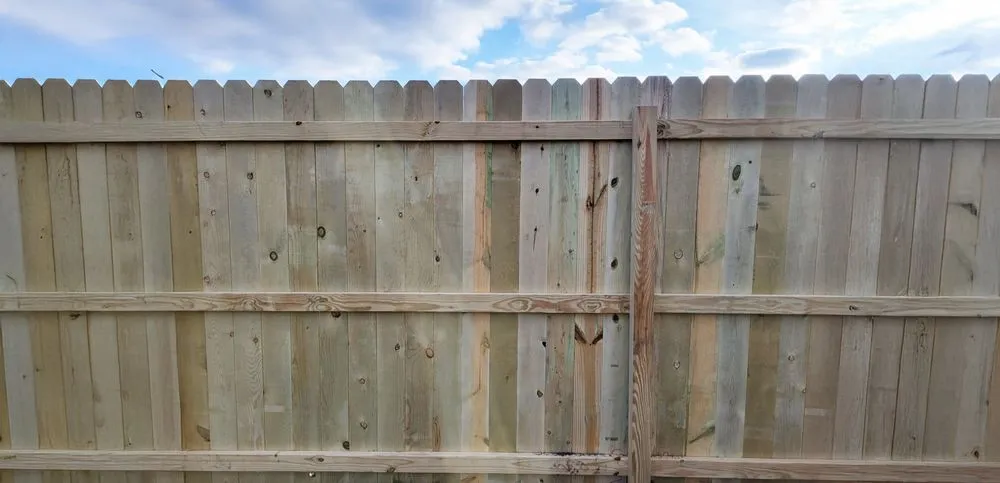 Expert landscaping services in Greenville, SC - Ergeon