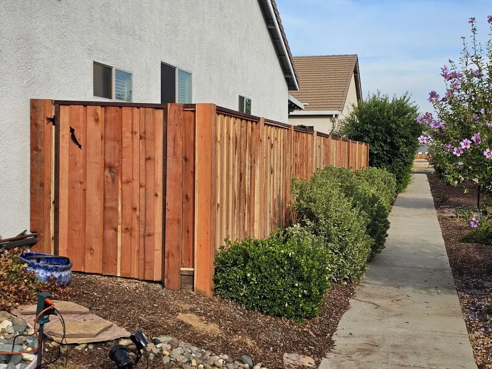 Affordable yard cleanup service experts serving Greenville, SC - Ergeon