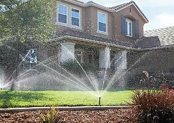 Trusted landscape installation for year-round maintenance in Carlsbad, CA by Ergon Landscape