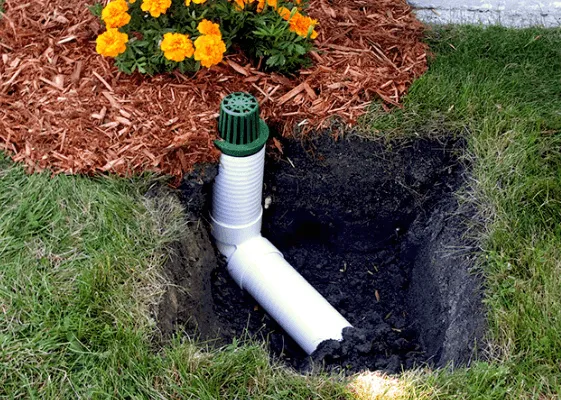 Trusted landscape installation for residential properties across Carlsbad, CA - Ergon Landscape