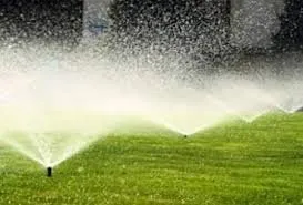 Top-rated landscape installation for year-round maintenance in Sugar Land, TX by Ergon Landscape