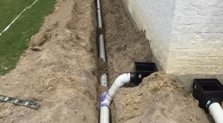 Professional yard cleanup service experts serving Sugar Land, TX - Ergon Landscape