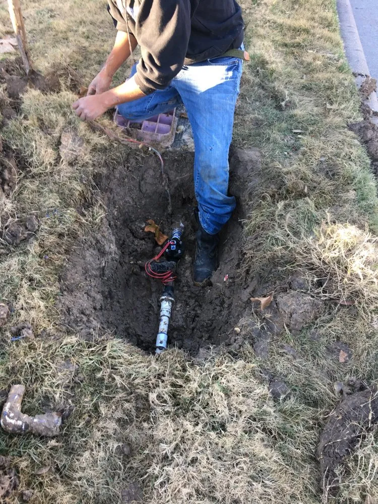 Professional landscape design in Sugar Land, TX - Ergon Landscape