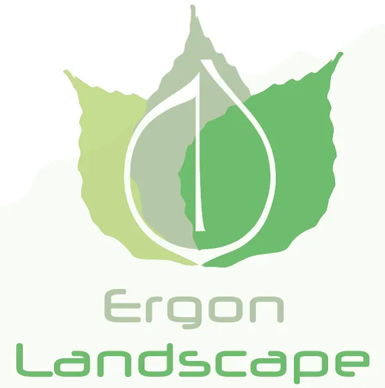 Professional residential landscaping for year-round maintenance across Sugar Land, TX - Ergon Landscape
