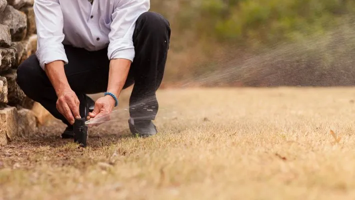 Trusted lawn care service in Sugar Land, TX - Ergon Landscape