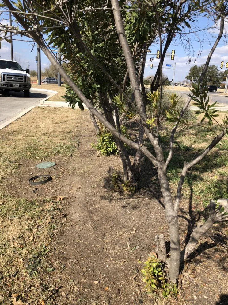 Affordable lawn care service with custom design in San Antonio, TX by Eric & Eric Lawn Service