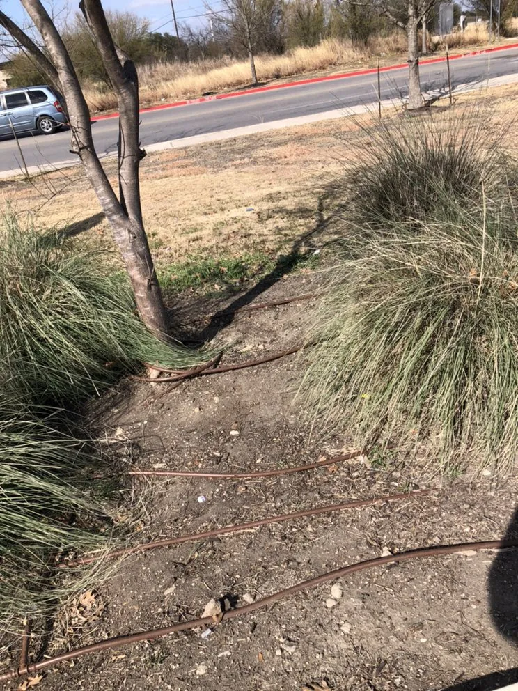 Local lawn mowing service in San Antonio, TX - Eric & Eric Lawn Service