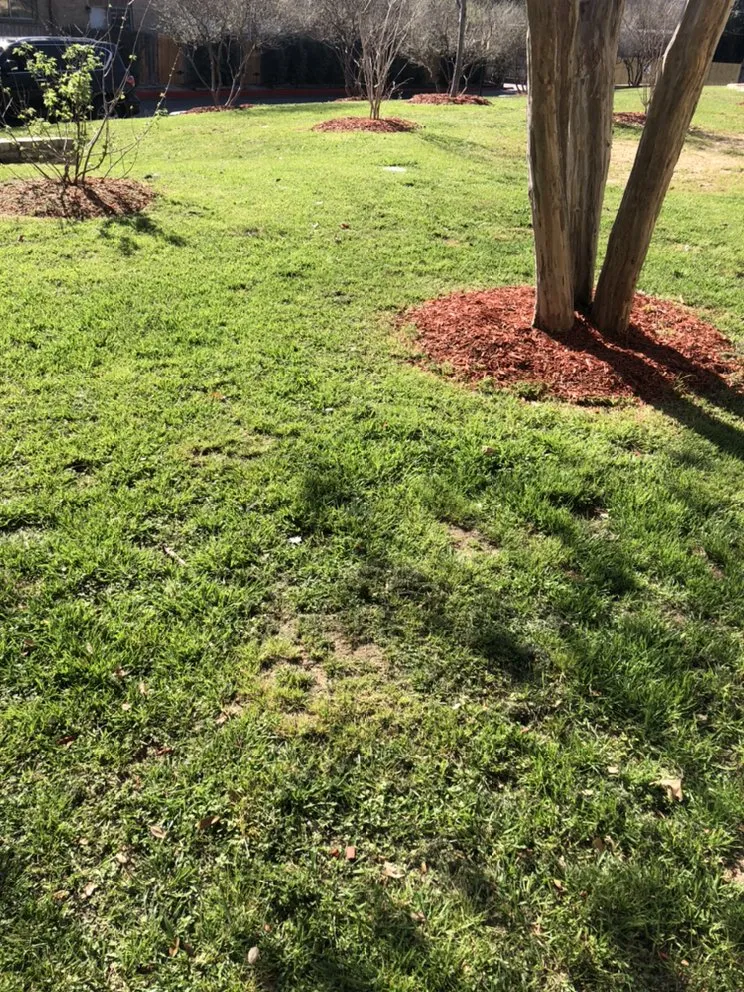 Reliable landscape installation for homes across San Antonio, TX - Eric & Eric Lawn Service