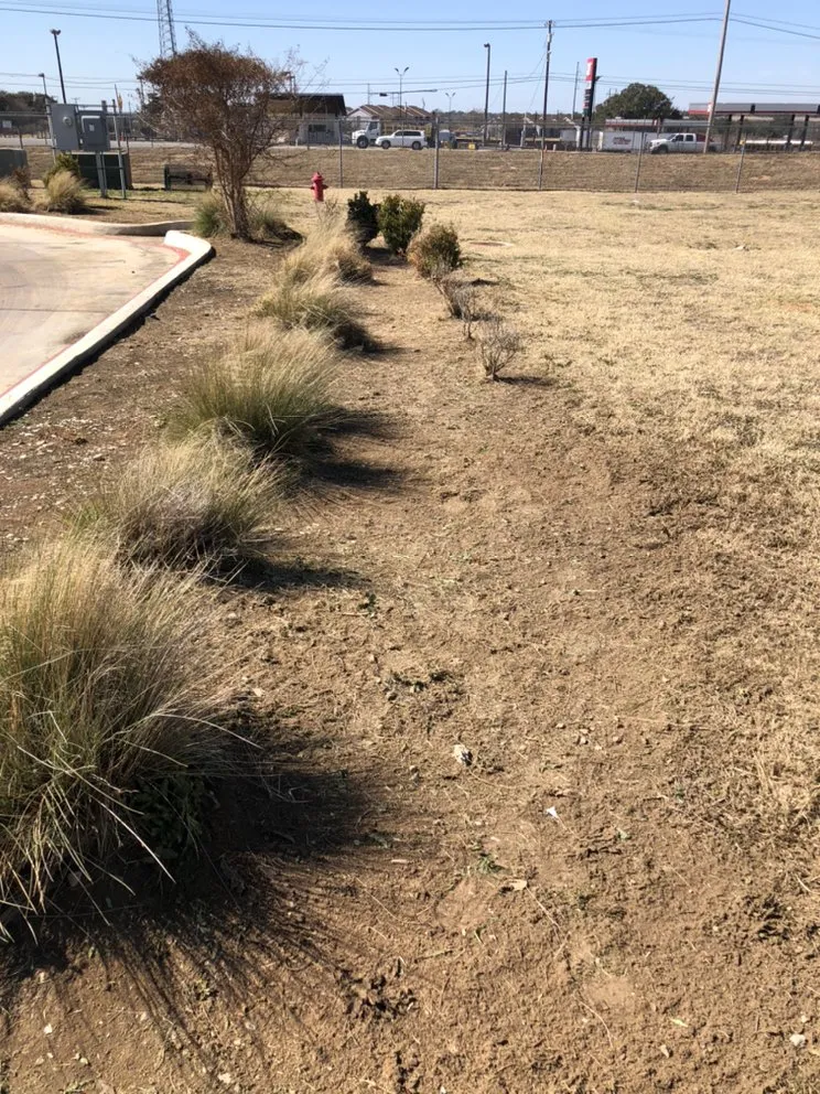 Local lawn care service for homes in San Antonio, TX by Eric & Eric Lawn Service