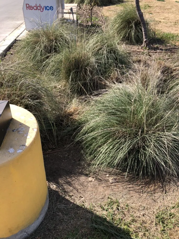 Reliable garden landscaping experts serving San Antonio, TX - Eric & Eric Lawn Service