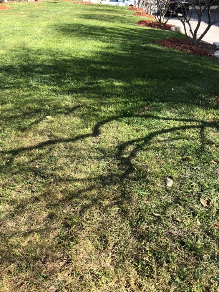 Expert landscape design for year-round maintenance across San Antonio, TX - Eric & Eric Lawn Service