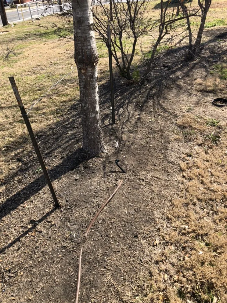 Custom yard cleanup service experts serving San Antonio, TX - Eric & Eric Lawn Service