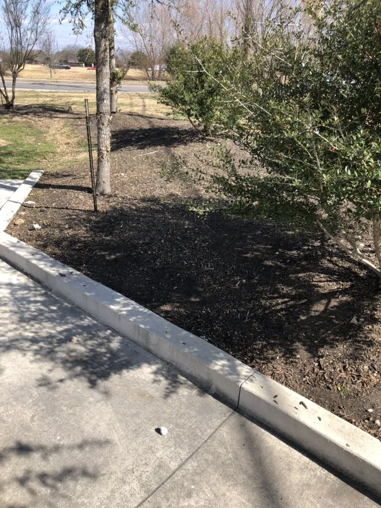 Expert landscape design for beautiful yards in San Antonio, TX by Eric & Eric Lawn Service