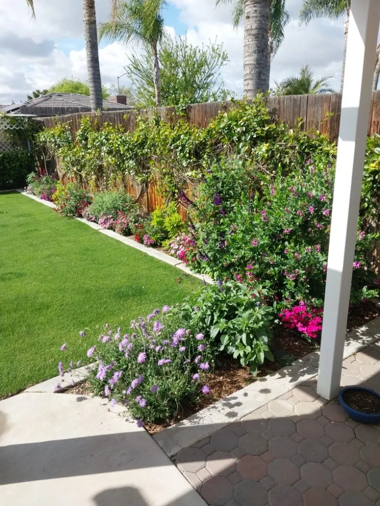 Expert yard maintenance in Bakersfield, CA by Eric Andersen Sprinkler And Landscape