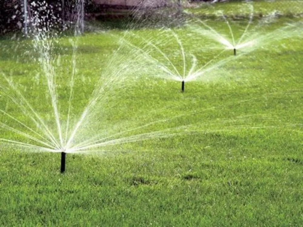 Top-rated landscape installation in Bakersfield, CA - Eric Andersen Sprinkler And Landscape