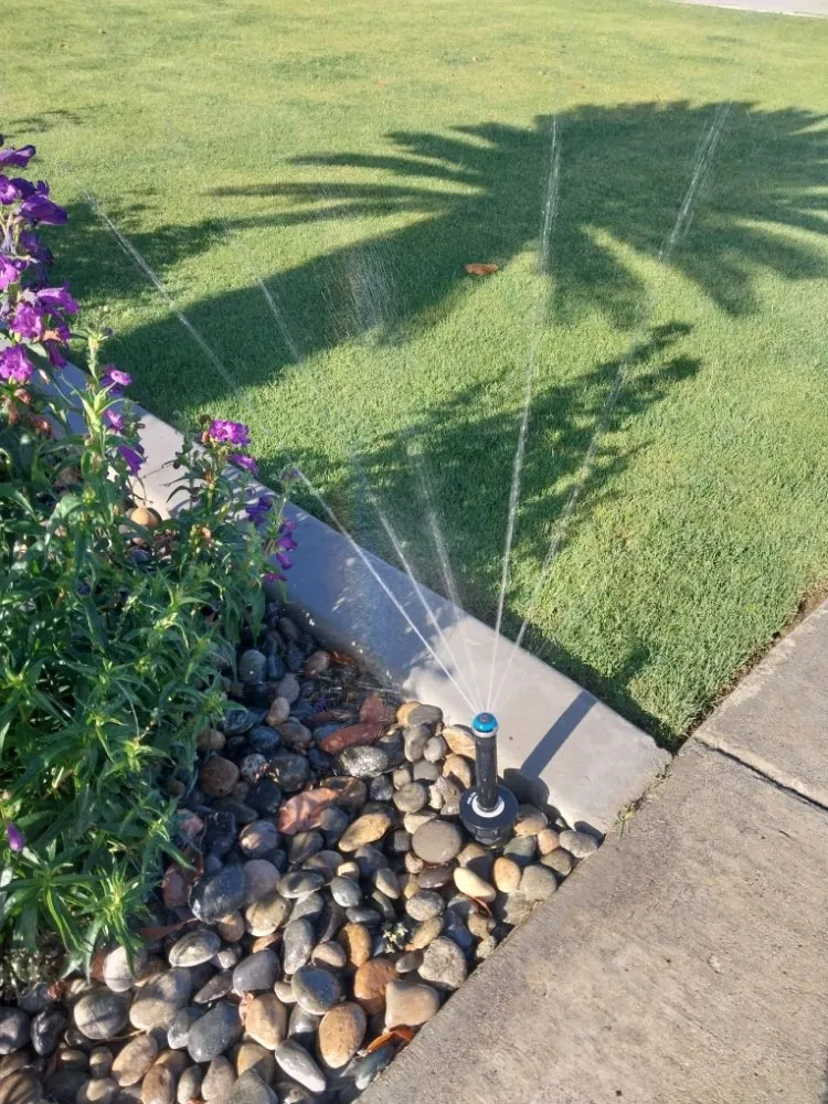 Trusted residential landscaping for year-round maintenance in Bakersfield, CA by Eric Andersen Sprinkler And Landscape