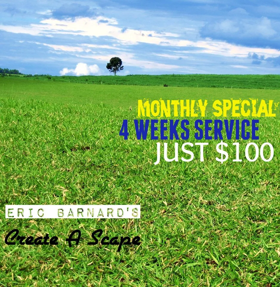 Reliable landscape design experts serving Atwater, CA - Eric Barnard's Create A Scape