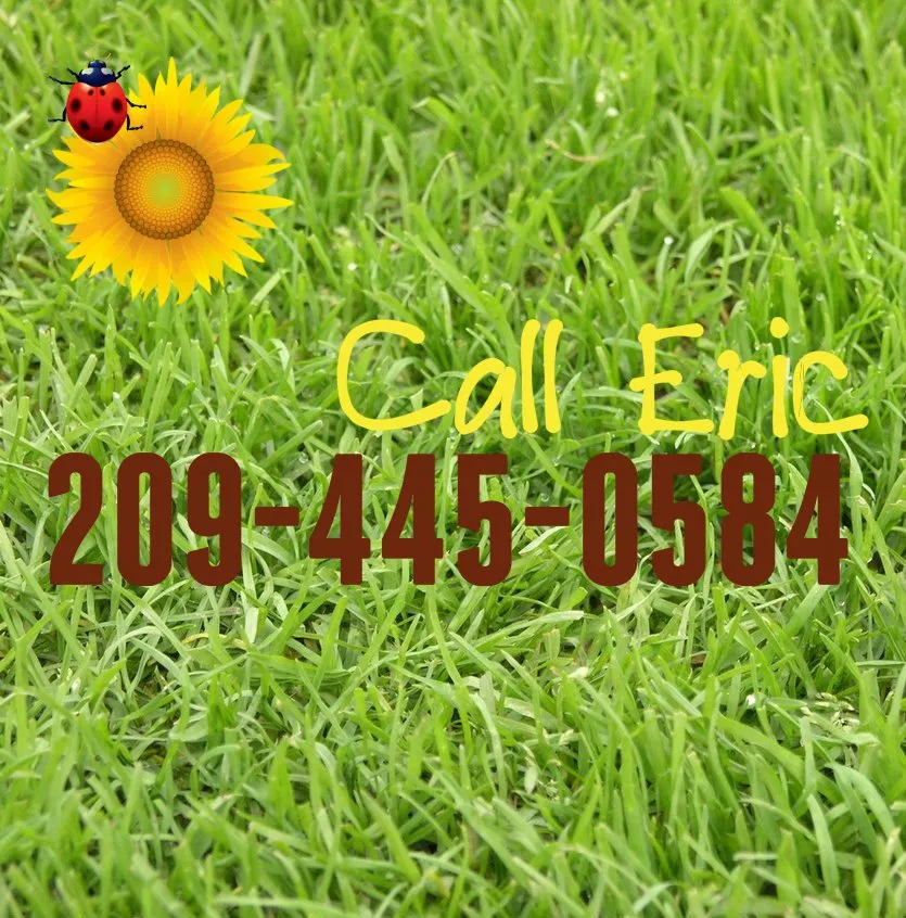 Trusted outdoor landscaping for year-round maintenance in Atwater, CA by Eric Barnard's Create A Scape