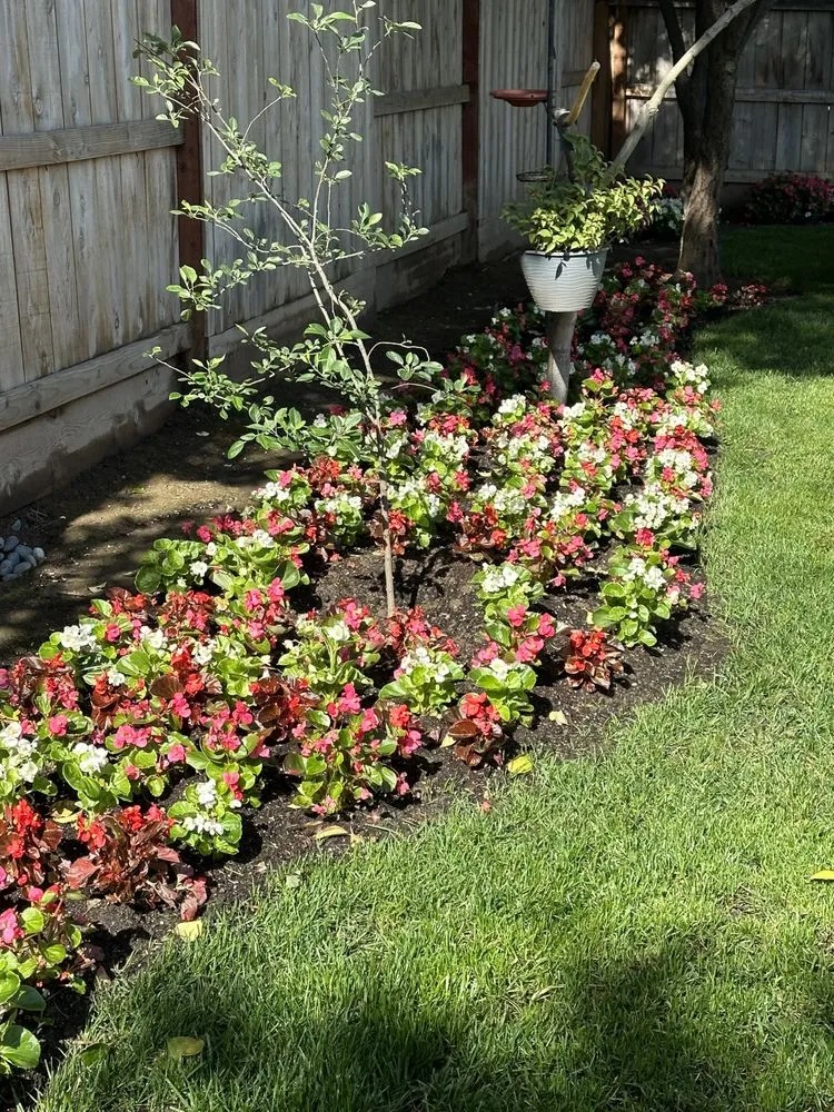 Custom residential landscaping for beautiful yards in Madera, CA by Eric Blunt Landscape
