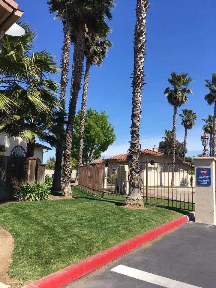 Expert garden landscaping experts serving Madera, CA - Eric Blunt Landscape