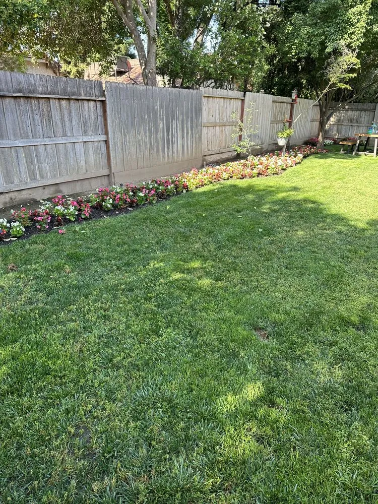 Trusted lawn mowing service in Madera, CA by Eric Blunt Landscape