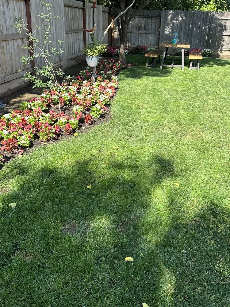 Affordable landscape design for homes in Madera, CA by Eric Blunt Landscape