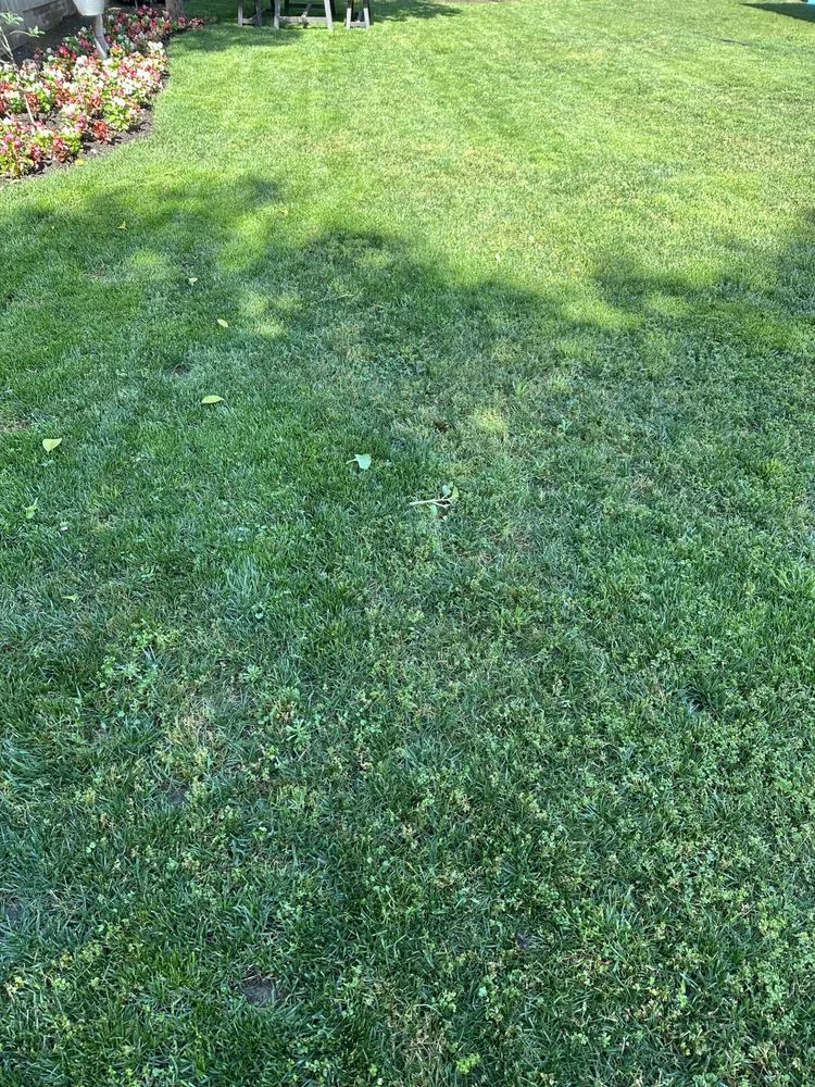 Professional landscape design experts serving Madera, CA - Eric Blunt Landscape