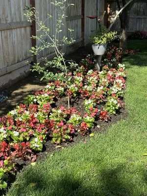 Eric Blunt Landscape Logo