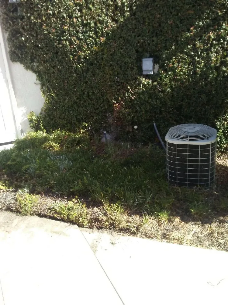 Trusted yard maintenance near you across Pomona, CA - Eric Ellis Yard & Handyman Services