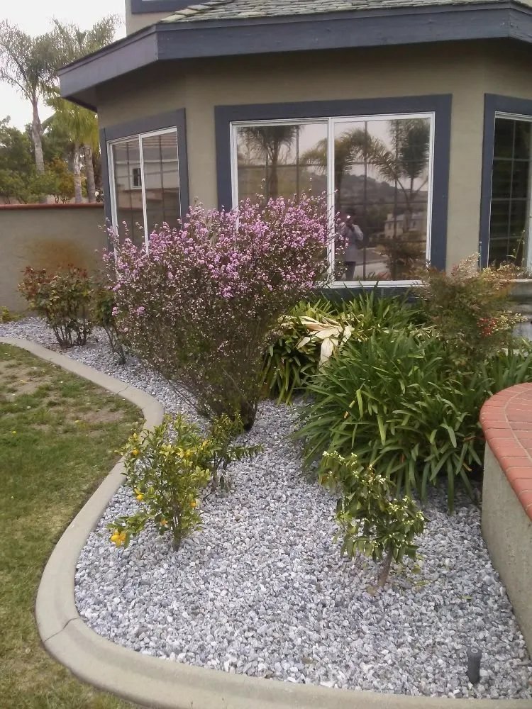 Professional yard maintenance experts serving Pomona, CA - Eric Ellis Yard & Handyman Services