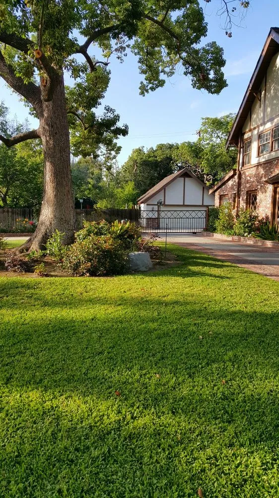 Custom outdoor landscaping experts serving Pomona, CA - Eric Ellis Yard & Handyman Services