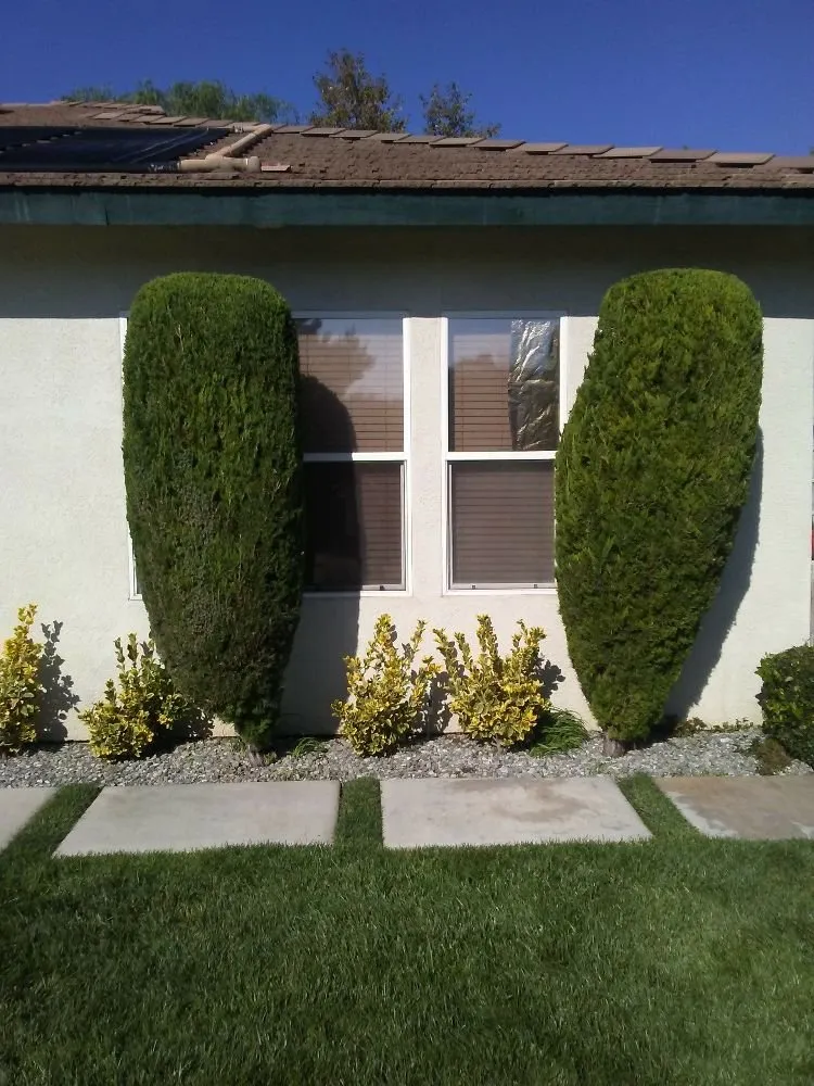 Top-rated lawn mowing service for beautiful yards in Pomona, CA by Eric Ellis Yard & Handyman Services
