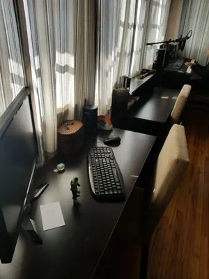 Eric Ellis Yard & Handyman Services Logo