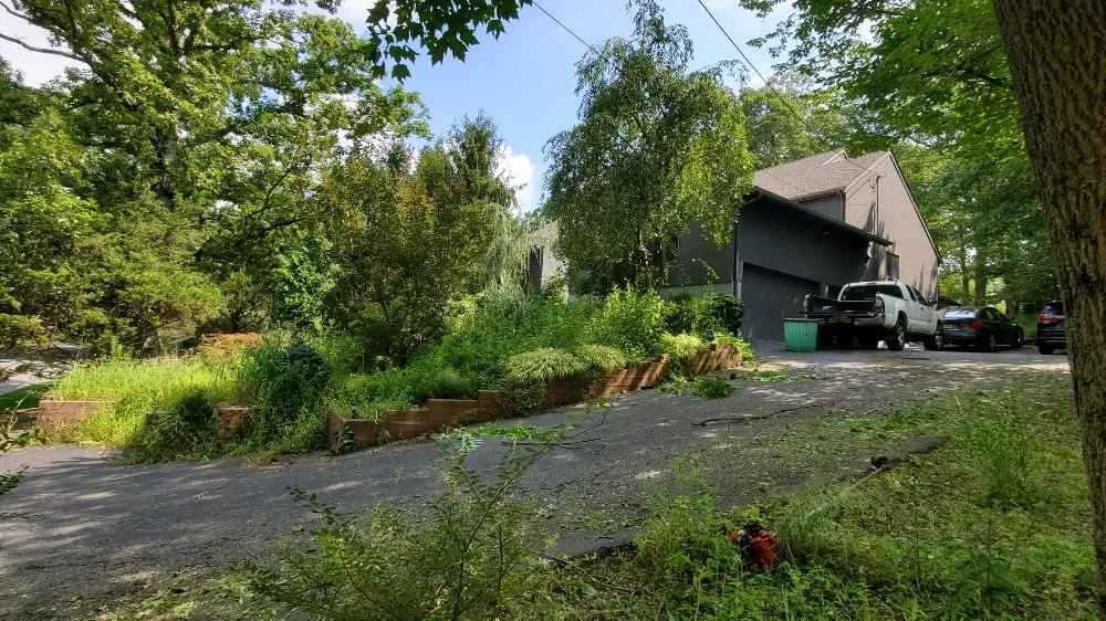 Expert lawn care service for residential properties in Belleville, NJ by Eric Gould landscaping