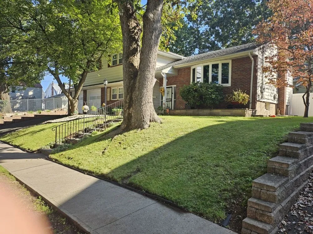 Professional yard cleanup service in Belleville, NJ - Eric Gould landscaping