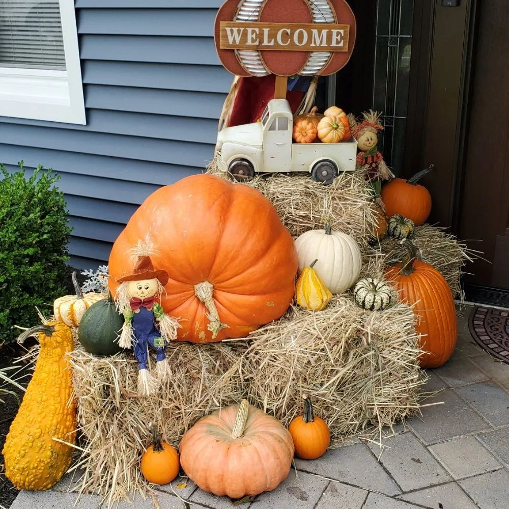 Trusted landscaping services for residential properties across Belleville, NJ - Eric Gould landscaping