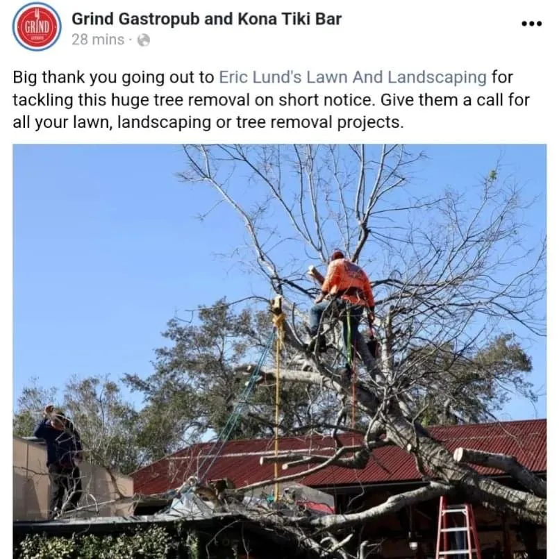 Reliable yard maintenance for year-round maintenance in Holly Hill, FL by Eric Lund's Landscaping