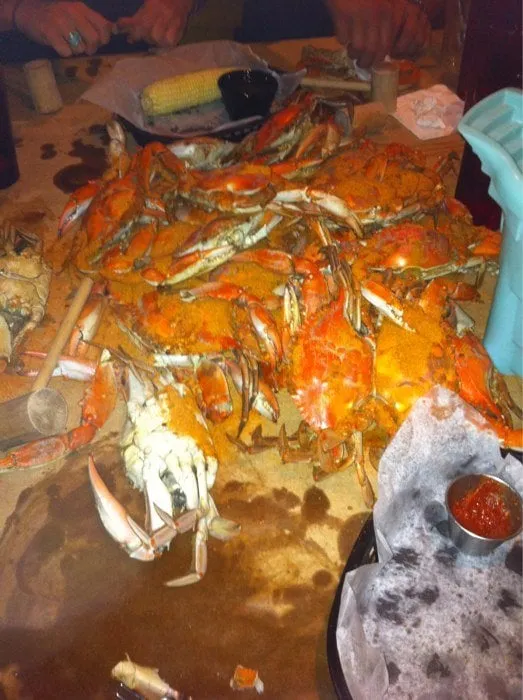 Trusted residential landscaping in Apple Valley, CA - Eric O’Brien Landscaping