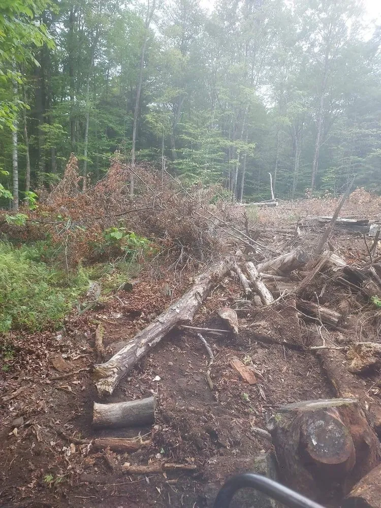 Trusted yard maintenance experts serving Granville, NY - Eric Rozell Construction