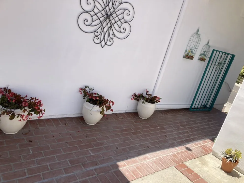 Professional lawn care service for residential properties across Vista, CA - Eric The Mason Handyman