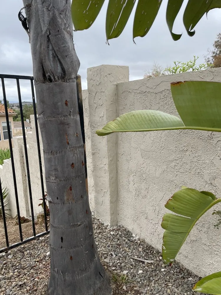 Expert landscape installation in Vista, CA - Eric The Mason Handyman