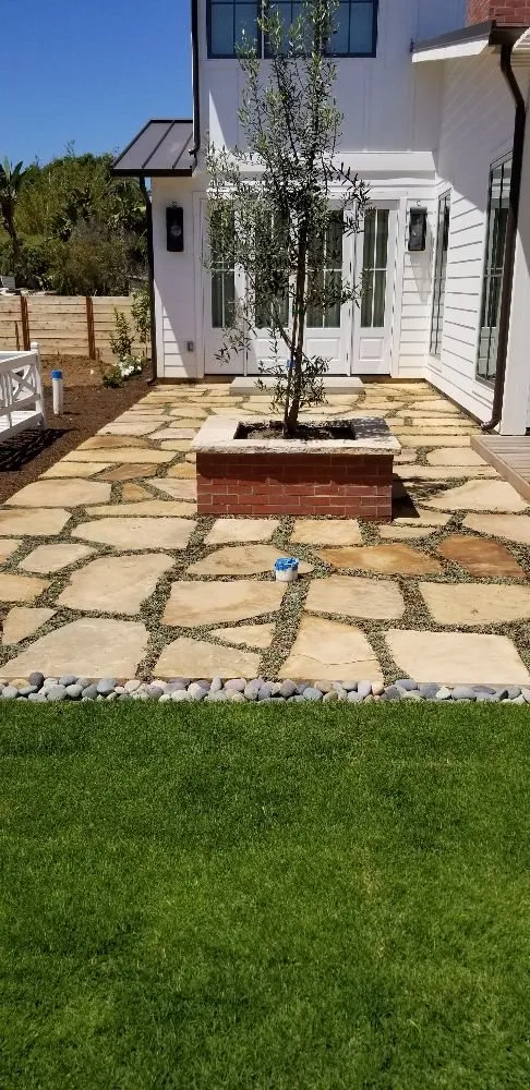Professional yard cleanup service near you in Cardiff, CA by Eric Thomas Landscaping