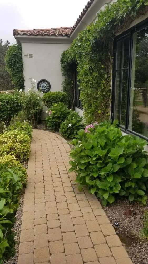 Local yard cleanup service for residential properties in Cardiff, CA by Eric Thomas Landscaping