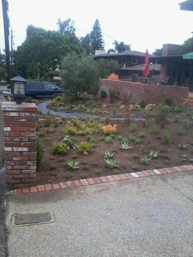 Trusted lawn care service near you across Cardiff, CA - Eric Thomas Landscaping