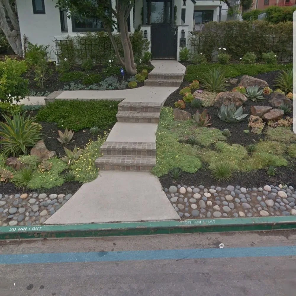 Top-rated yard cleanup service in Cardiff, CA by Eric Thomas Landscaping