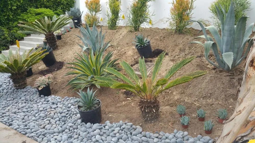 Reliable residential landscaping in Cardiff, CA - Eric Thomas Landscaping
